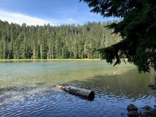 twin-lakes-trail-2